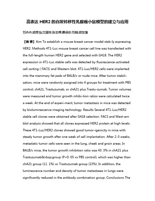 高表达HER2的自发转移性乳腺癌小鼠模型的建立与应用