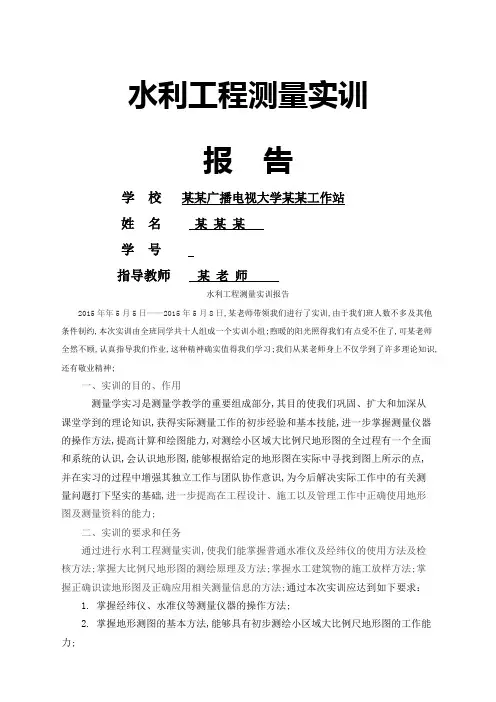 水利工程测量实训报告