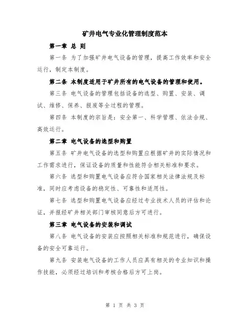 矿井电气专业化管理制度范本