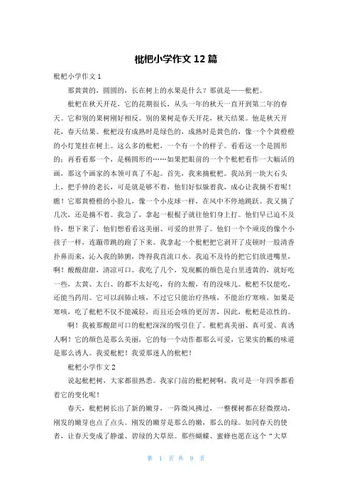 枇杷小学作文12篇