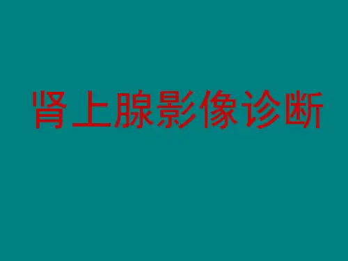 肾上腺影像诊断