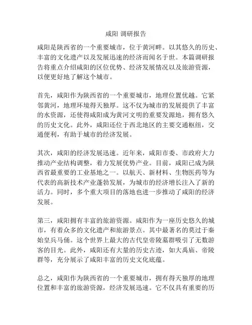 咸阳 调研报告