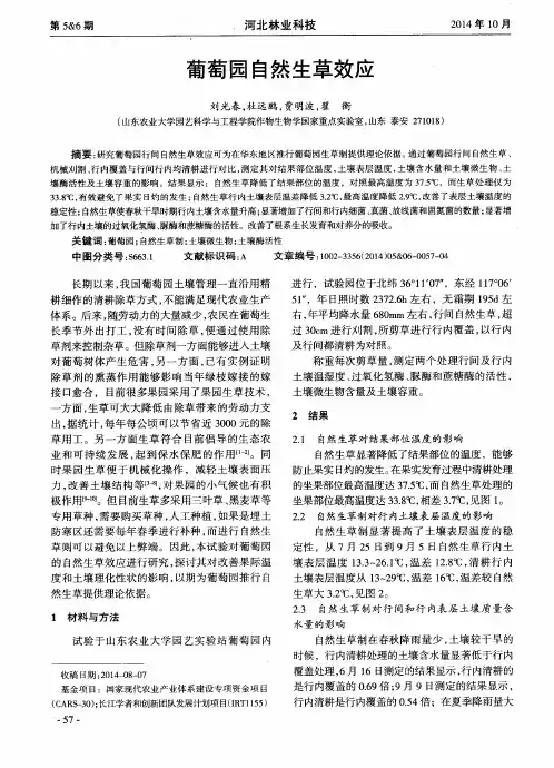 葡萄园自然生草效应