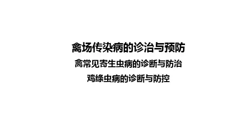 鸡绦虫病课件(共23张PPT)《禽病防治》