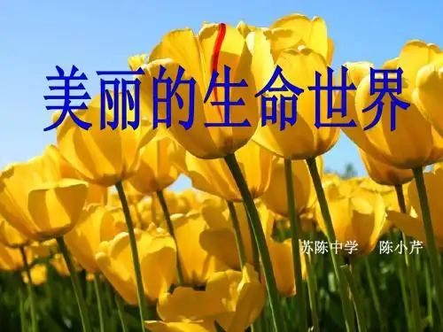 生命的起源