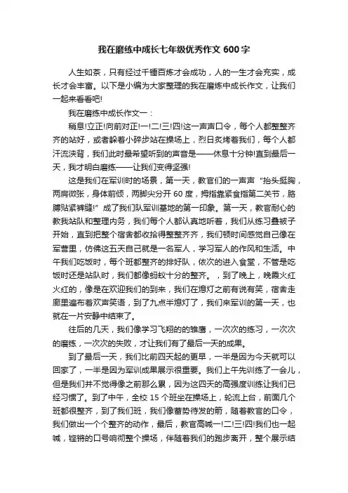 我在磨练中成长七年级优秀作文600字