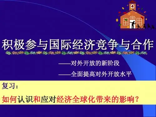 积极参与国际经济竞争与合作