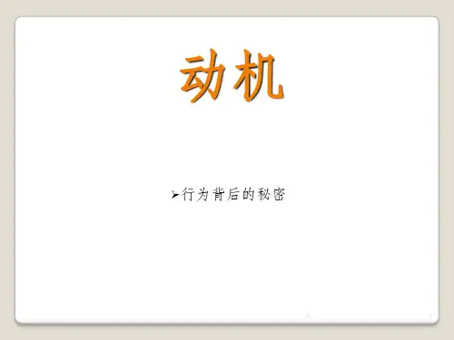 动机理论