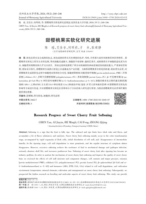 甜樱桃果实软化研究进展