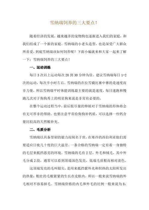 雪纳瑞饲养的三大要点!
