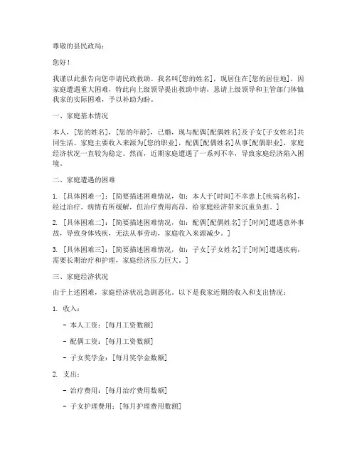 申请报告民政救助