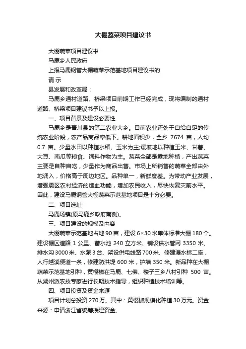 大棚蔬菜项目建议书