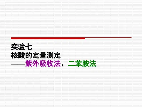 实验七  核酸的定量