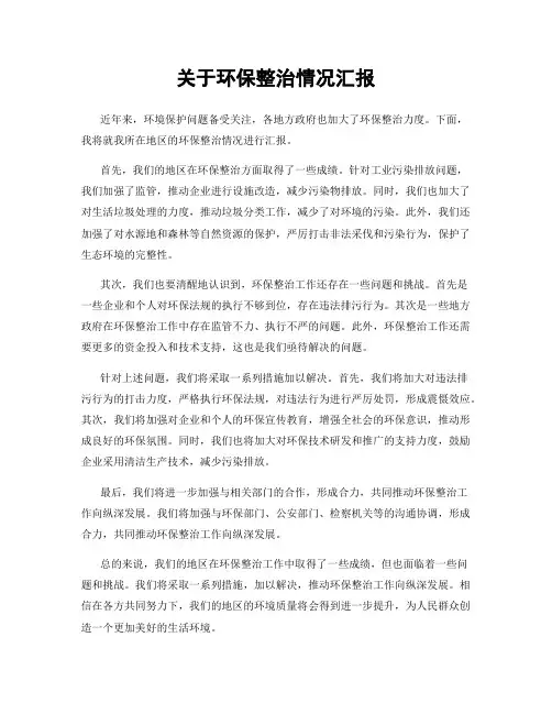 关于环保整治情况汇报