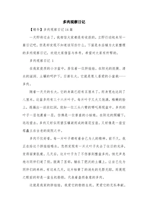 多肉观察日记