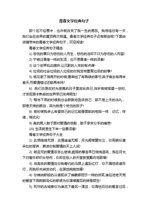 青春文学经典句子