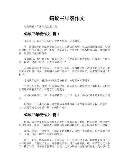 蚂蚁三年级作文