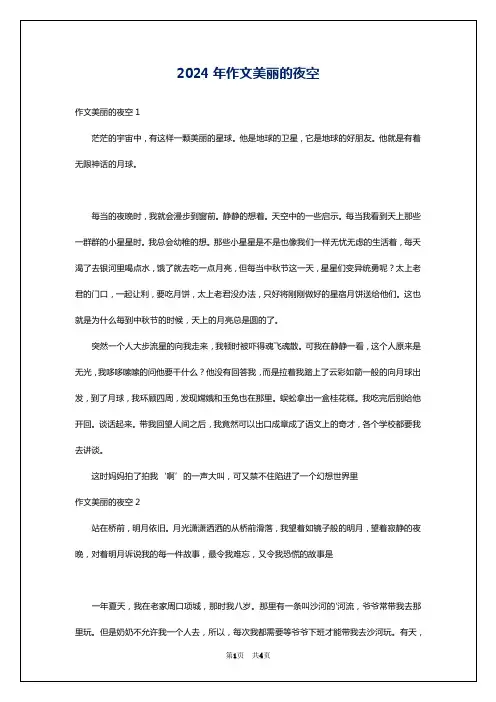 2024年作文美丽的夜空