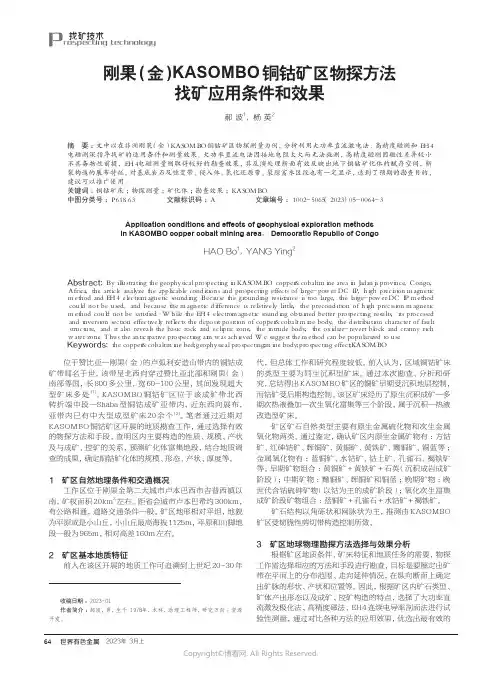 219390909_刚果(金)KASOMBO铜钴矿区物探方法找矿应用条件和效果