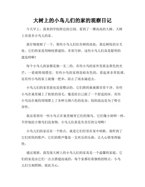 小学三年级作文大树上的小鸟儿们的家的观察日记