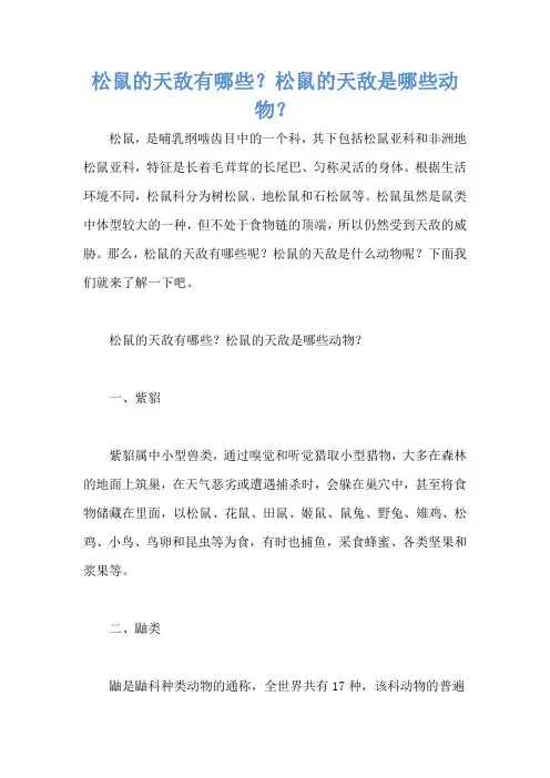 松鼠的天敌有哪些？松鼠的天敌是哪些动物？