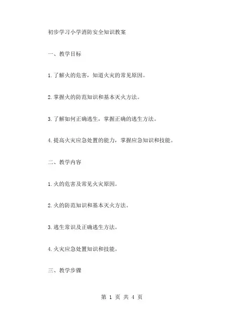 初步学习小学消防安全知识教案