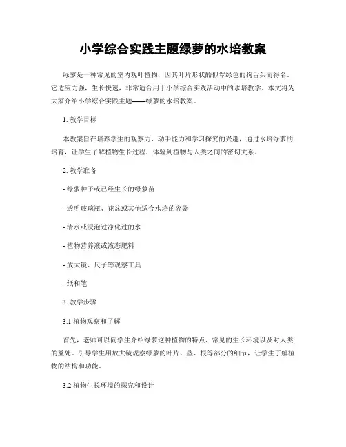 小学综合实践主题绿萝的水培教案