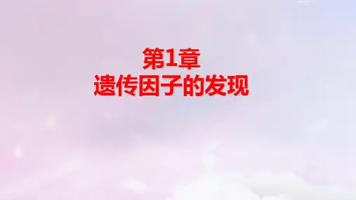 新教材适用高中生物第1章实验二孟德尔两对相对性状的杂交实验过程解释和验证pptx课件新人教版必修2