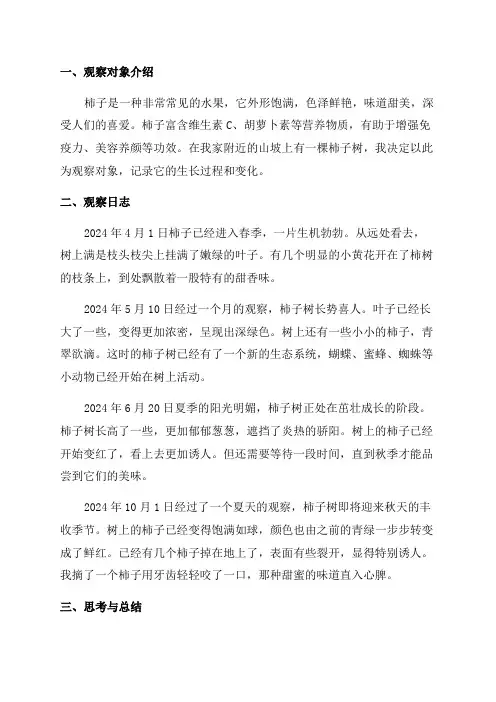 柿子观察日记四年级
