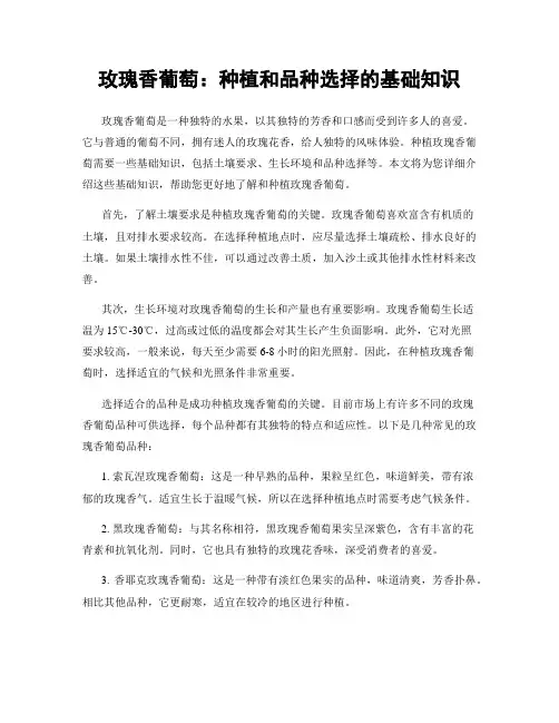 玫瑰香葡萄：种植和品种选择的基础知识