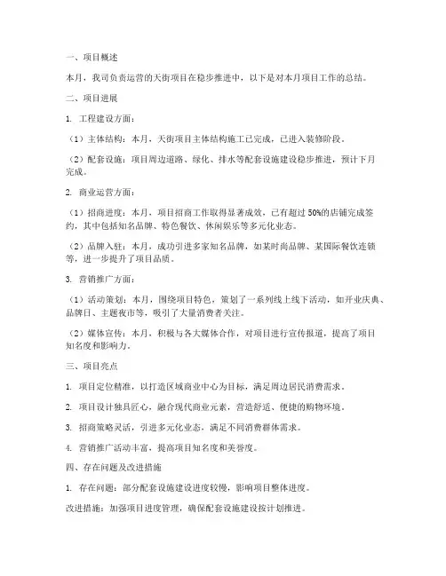 天街项目月报总结范文
