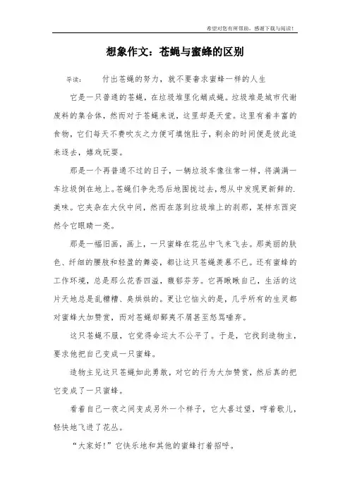 想象作文：苍蝇与蜜蜂的区别