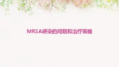 MRSA感染的问题和治疗策略