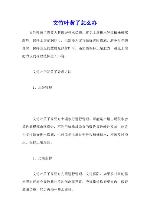 文竹叶黄了怎么办