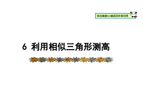 北师版数学九年级上册课件4.6 利用相似三角形测高 (共20张PPT)