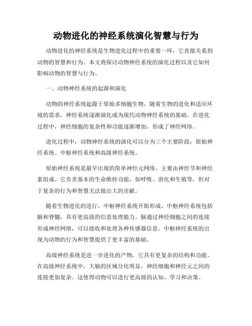 动物进化的神经系统演化智慧与行为