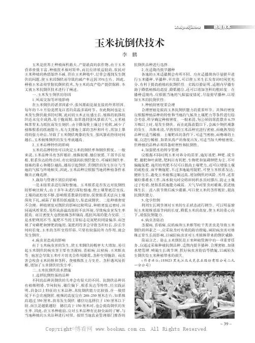玉米抗倒伏技术