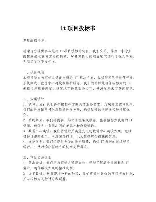 it项目投标书