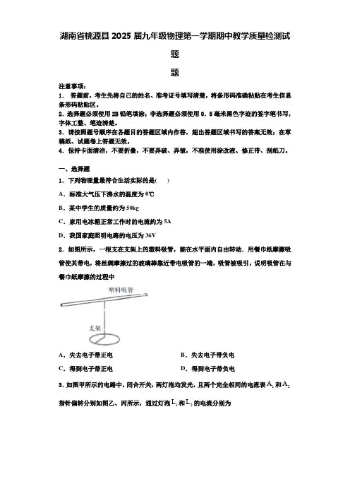 湖南省桃源县2025届九年级物理第一学期期中教学质量检测试题含解析