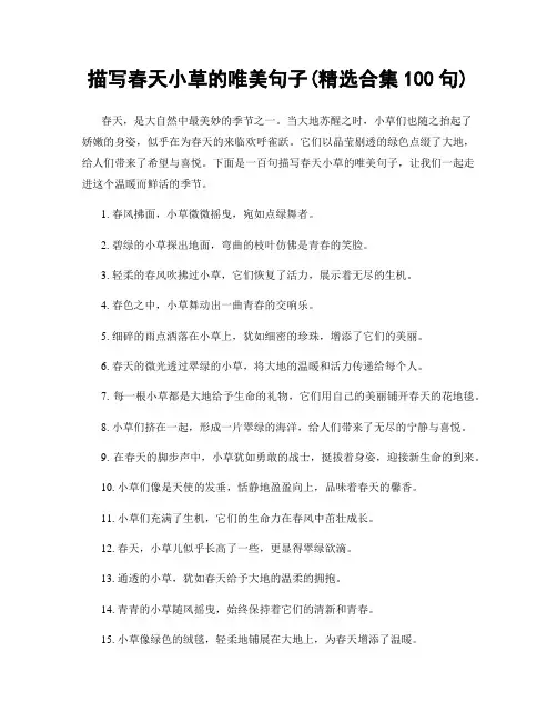 描写春天小草的唯美句子(精选合集100句)
