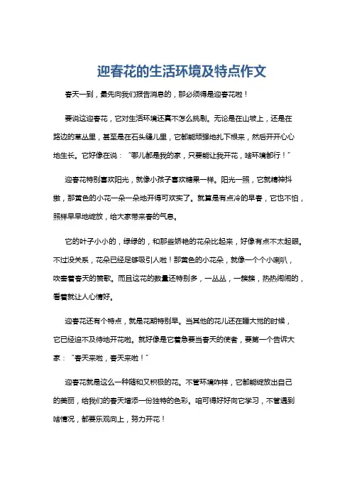 迎春花的生活环境及特点作文