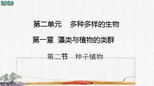 人教版七年级生物上册2.1.2《种子植物》课件(共28张PPT)+视频素材