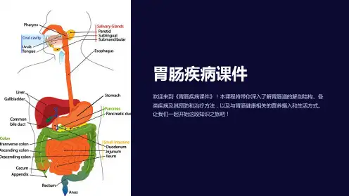 《胃肠疾病课件》