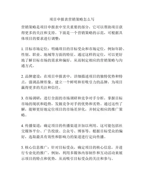 项目申报表营销策略怎么写