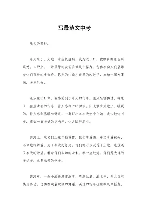 写景范文中考
