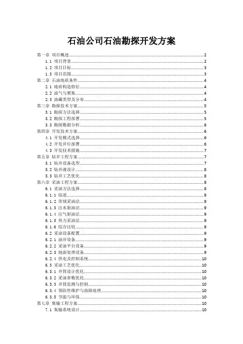 石油公司石油勘探开发方案