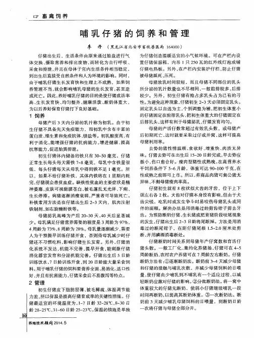 哺乳仔猪的饲养和管理