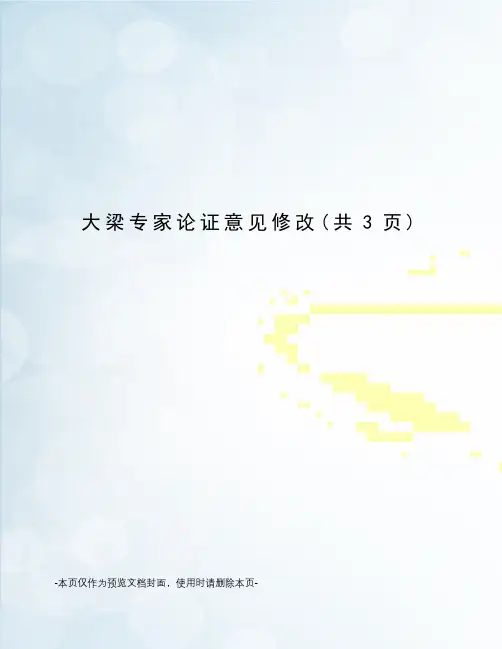 大梁专家论证意见修改