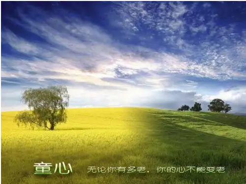 “一三五”课堂教学模式概述