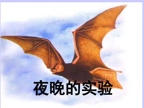 苏教版小学语文六年级下册《夜晚的实验》PPT课件_2